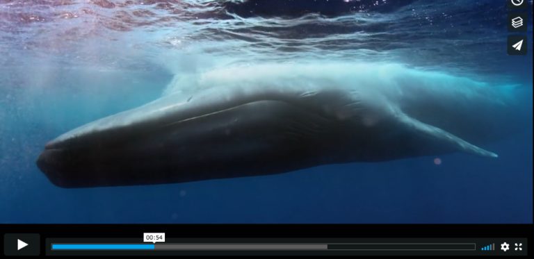 Epoha Portal dodatak