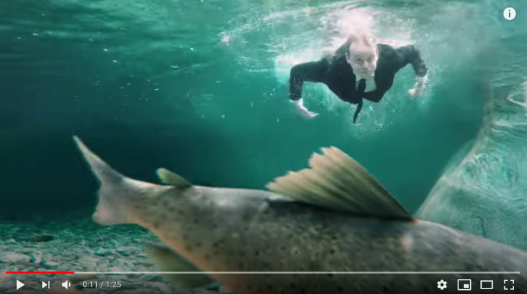 Epoha Portal dodatak