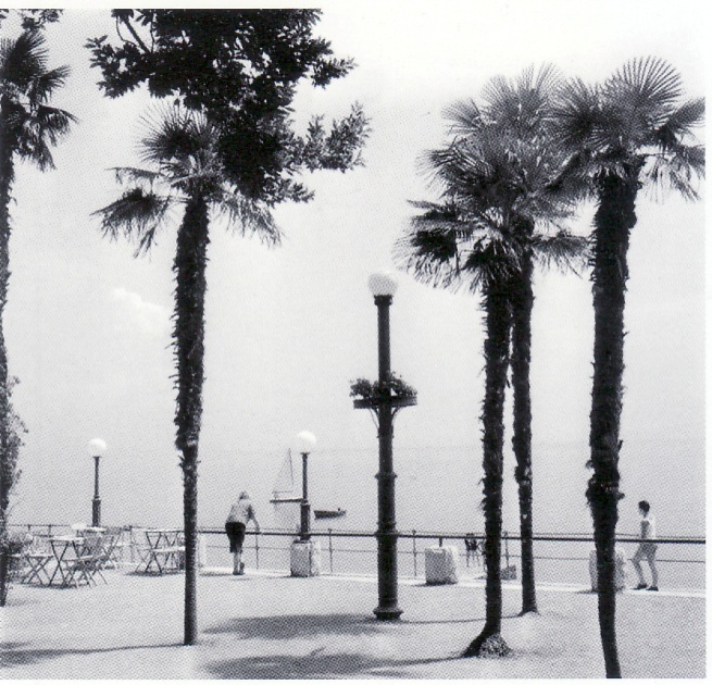 Read more about the article Kadrovi Slavke Pavić u Francuskom paviljonu u Zagrebu