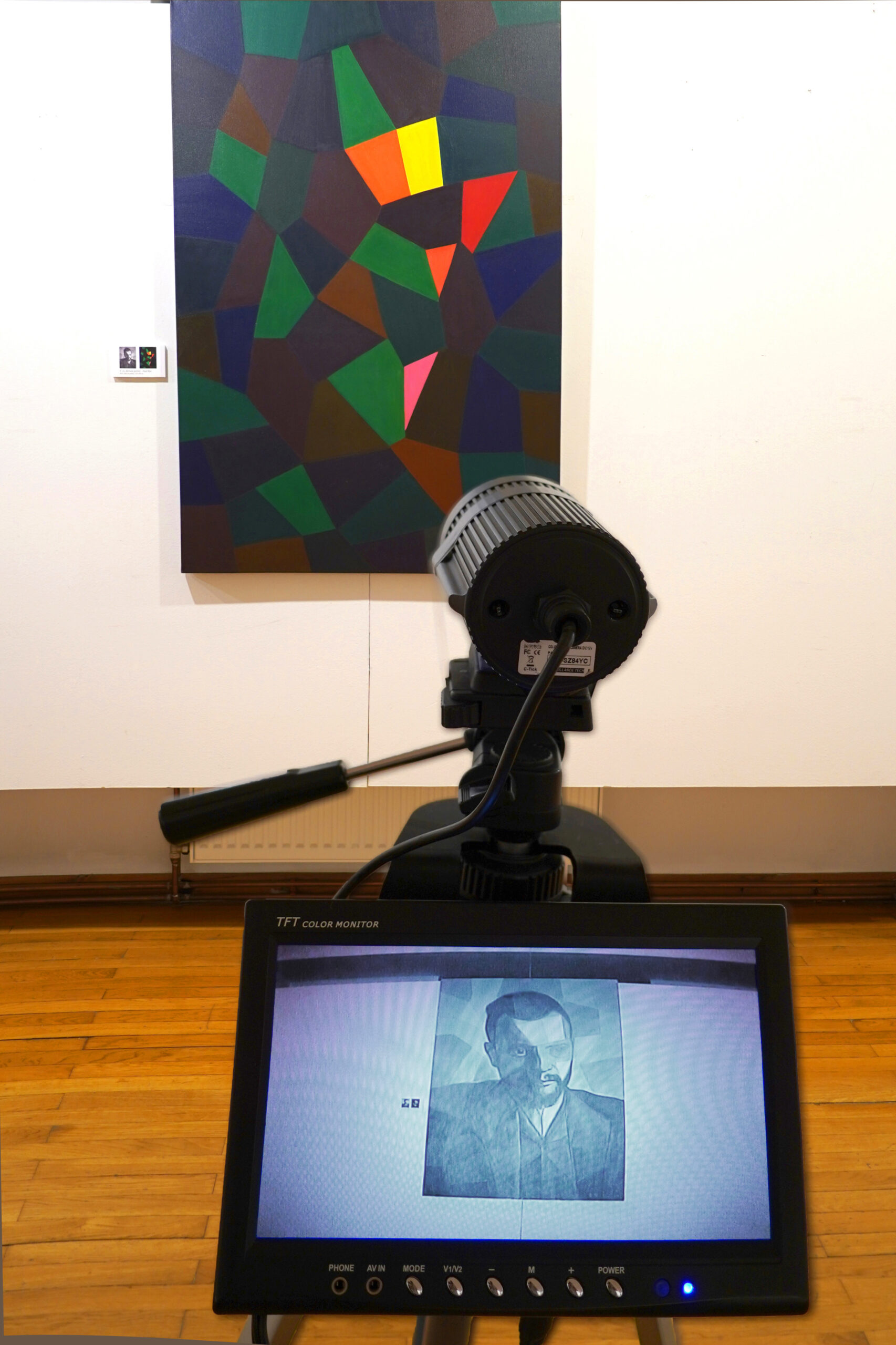 Read more about the article Dijana Nazor u galeriji Dvorca Trakošćan