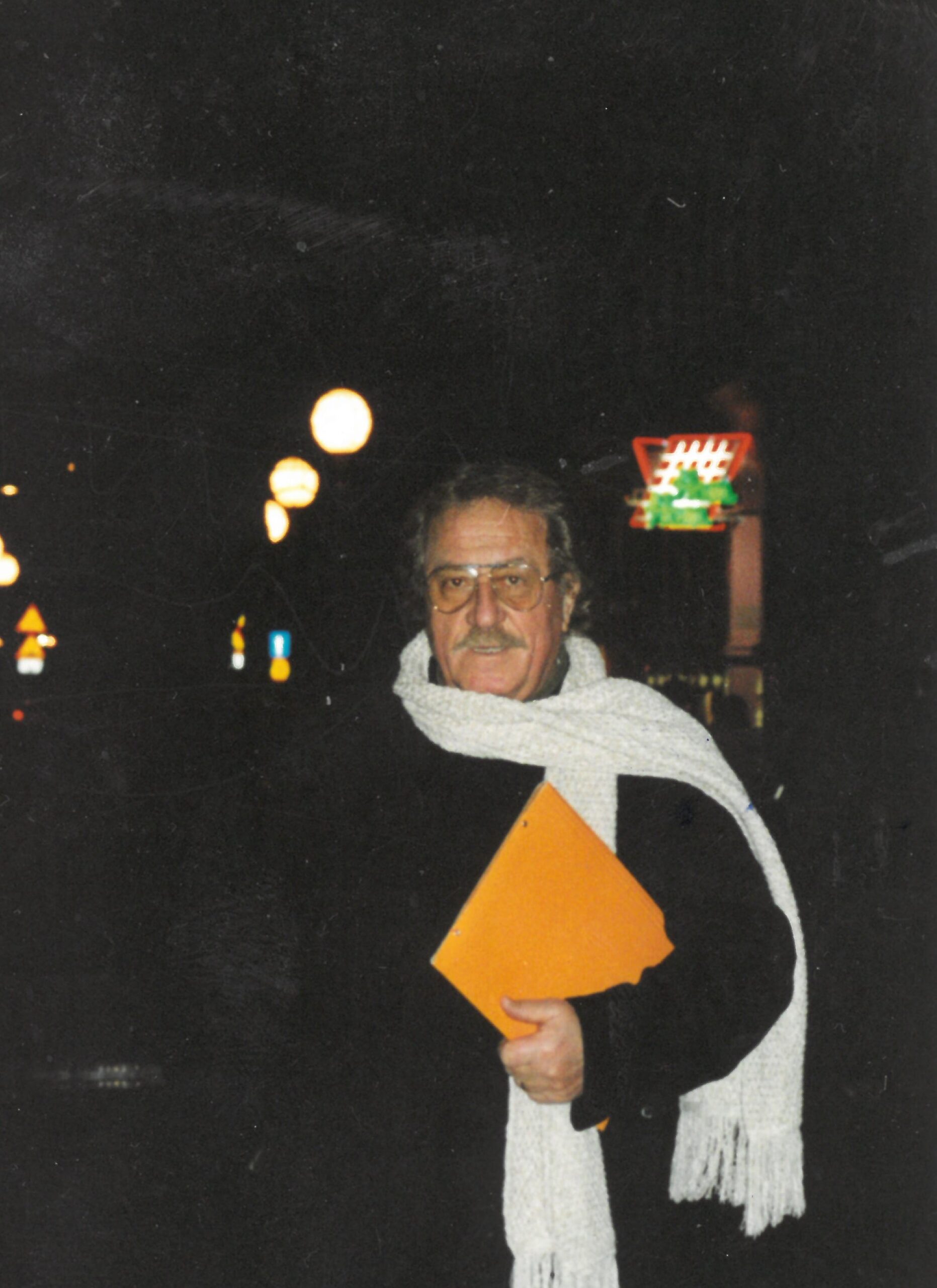 Read more about the article Đina