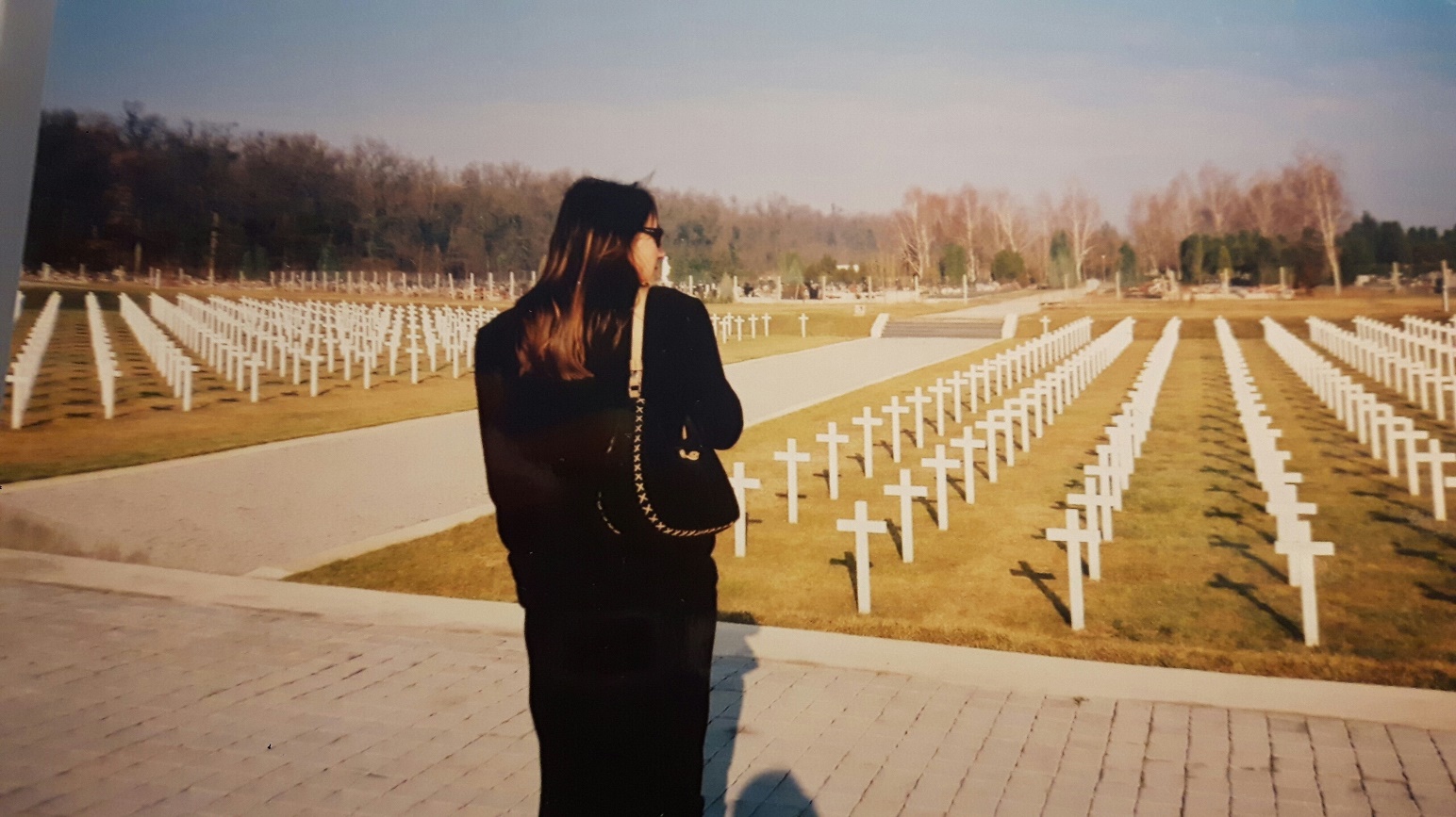 Read more about the article Studeni