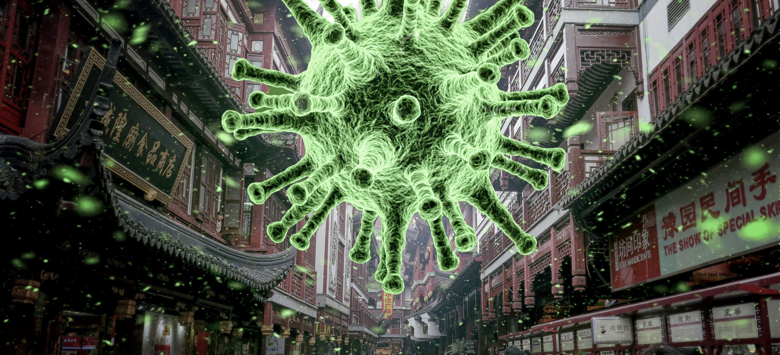 Read more about the article Korona – tko je ona?