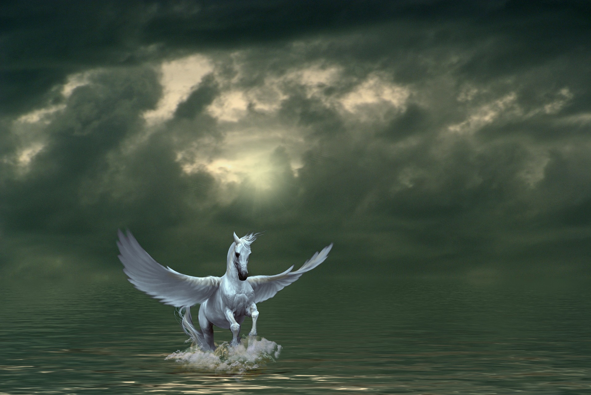 Read more about the article Trenutak sreće