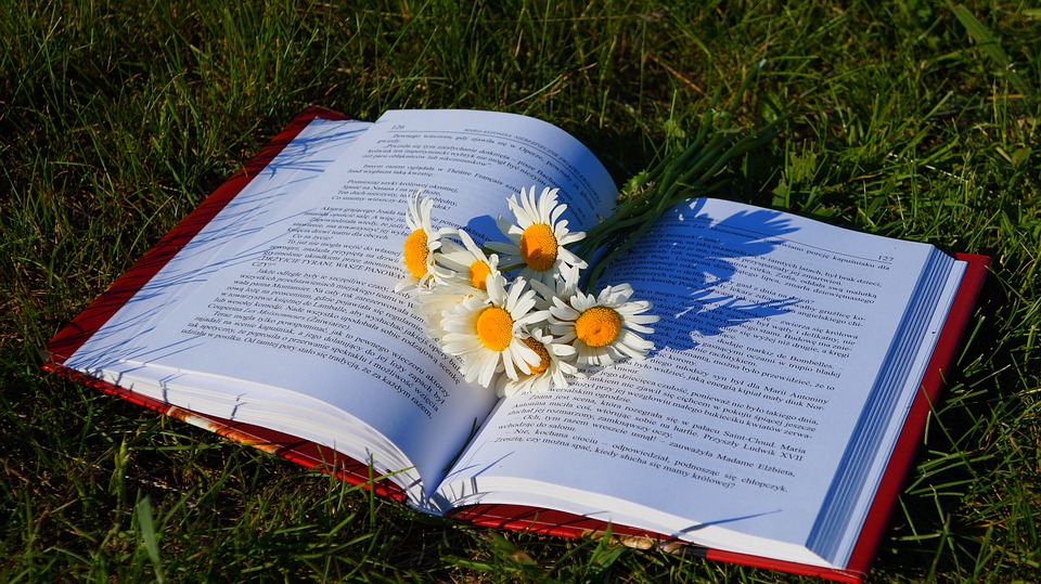 Read more about the article Nova stranica