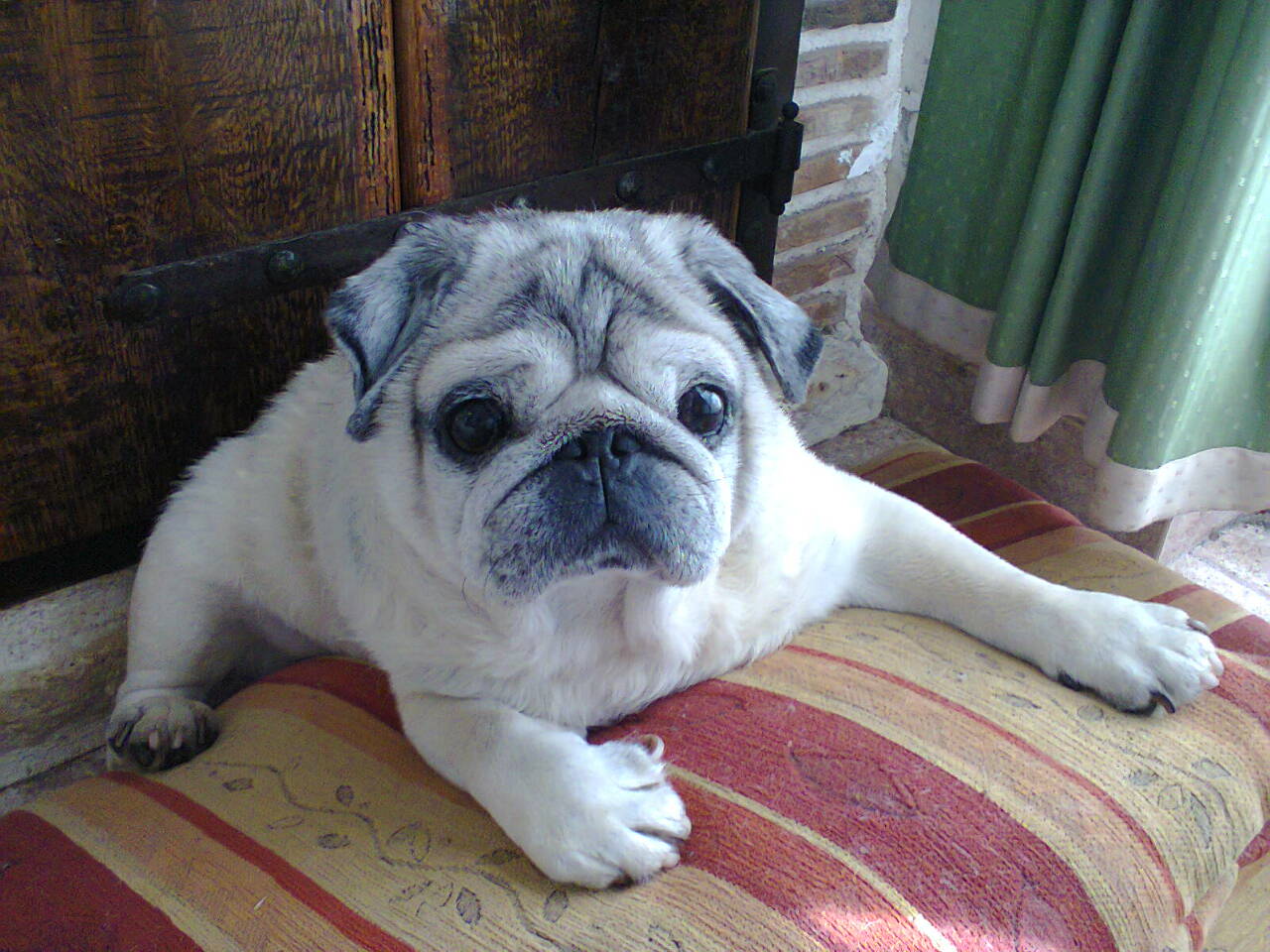 Read more about the article Svatko ima svoju priču